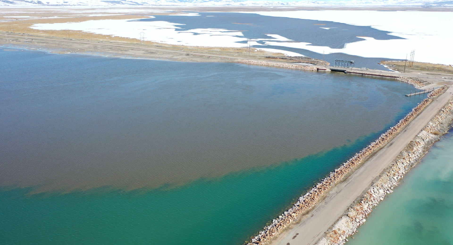 Bear Lake Eurasian watermilfoil locations North August 2024