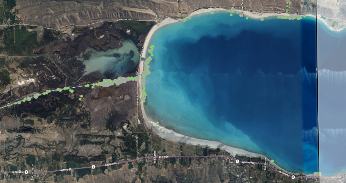 Bear Lake Eurasian watermilfoil locations North August 2024