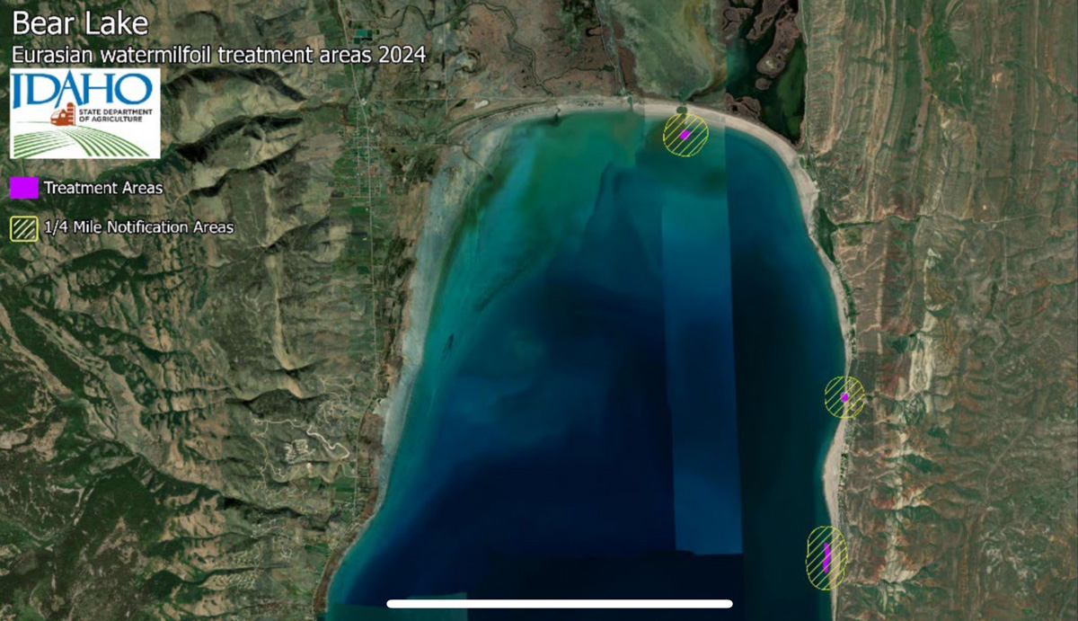 Bear Lake Idaho Eurasian watermilfoil treatment areas 2024